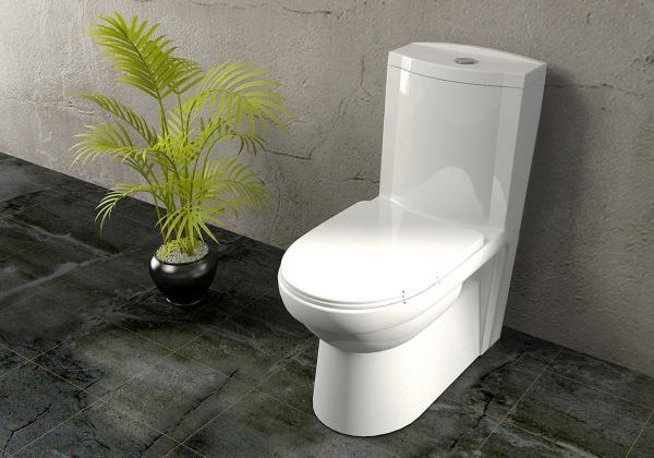 توالت فرنگی چینی گلسار مدل کلین